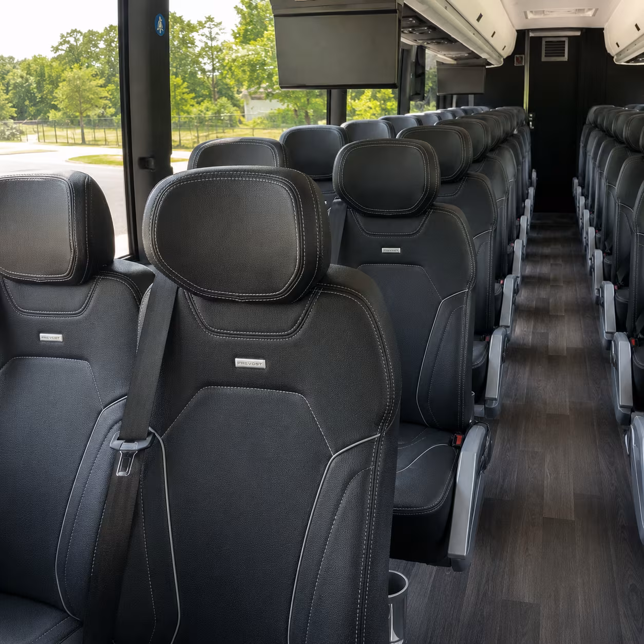 orange charter bus tours to joshua tree national park and grand canyon national park
